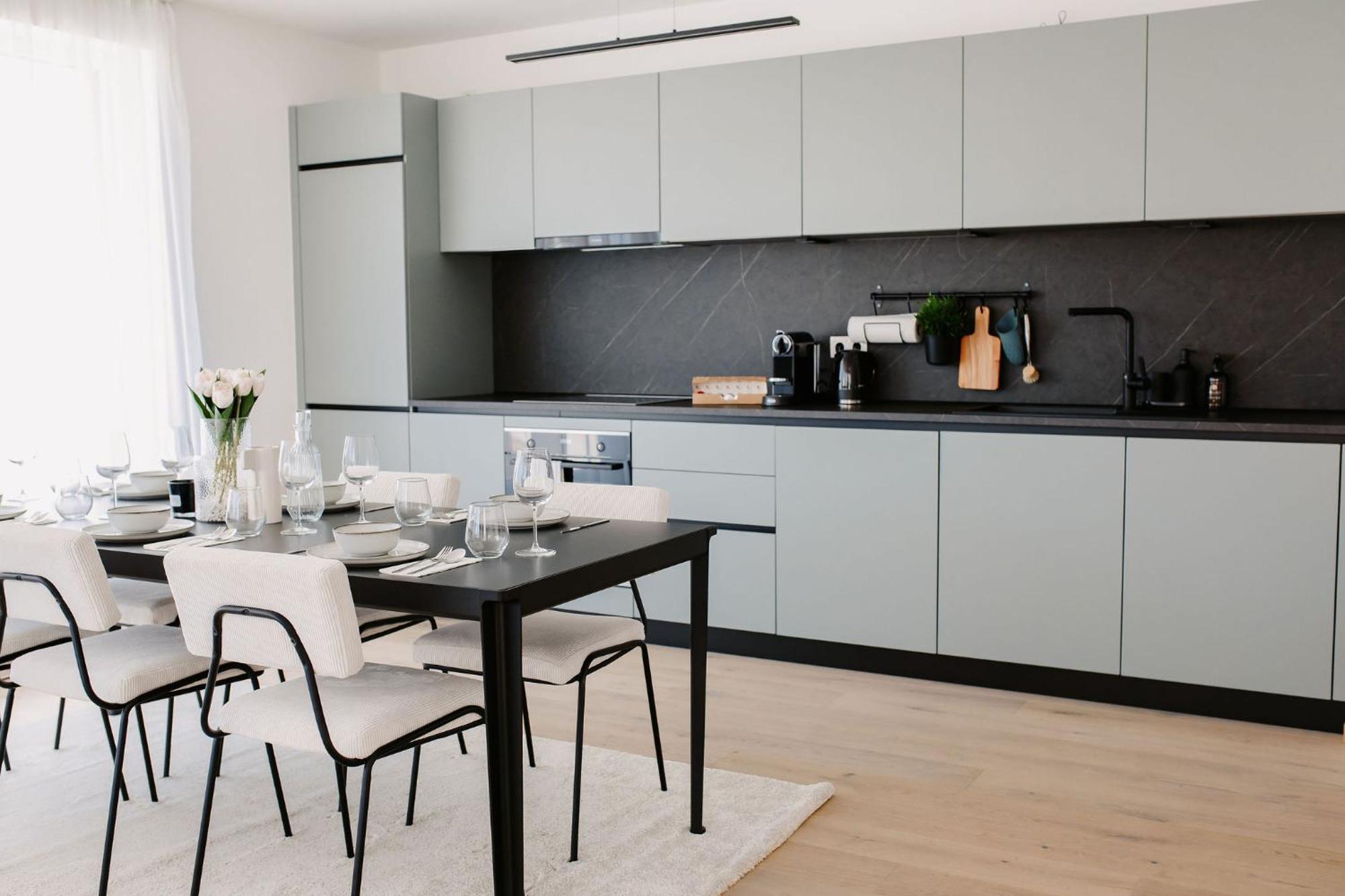 Luxury Apartment Vienna